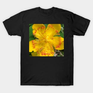 Yellow Radiance T-Shirt